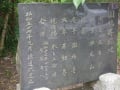 早船里山の会・アジサイ鑑賞と森林散策