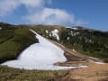 巻機山・牛ヶ岳　ブナと花と稜線歩き