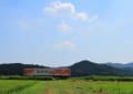 北条鉄道の夏　（兵庫県）