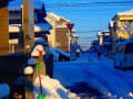 平成30年1月の雪景色