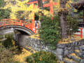 2012　Autumn　in  Kyoto　