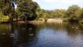 Hillsborough Walled Garden 