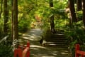 秋を追って(2)　神藏寺の花たち