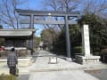 松陰神社、若林公園のスダジイ、豪徳寺の枝垂桜、招き猫など