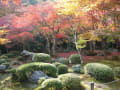 京都　洛北　圓光寺