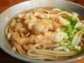 海老の天ぷらうどん