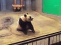 2012年9月 上野動物園