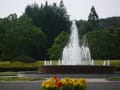 茨城県植物園の花々