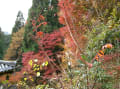 京都の秋　神護寺