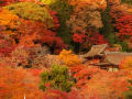 奈良　桜井　談山神社 　紅葉　