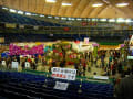世界らん展2012見学ツアー（東京ドーム）