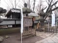 上野ぼたん園