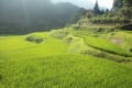 福岡県朝倉郡東峰村（とおほおむら）竹棚田