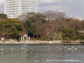 [27]0209-1559公園右回り26.jpg