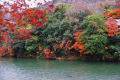 滋賀の紅葉、　永源寺と湖東三山　その１　（永源寺）