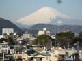 ２月３日（火）午前９時過ぎ、平塚市・東海岸からの富士山、湘南平、箱根です
