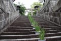 宮地嶽神社　江戸菖蒲