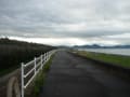 朝の散歩（駿河湾、アジサイ、富士山）