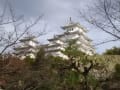 西国２７番札所圓教寺、姫路城、西国２６番札所一乗寺へ行ってきました