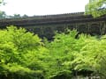 聖徳太子所縁の斑鳩寺と夏の書写山