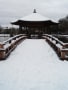 奈良の大雪　五重塔　猿沢池　大仏殿　奈良公園