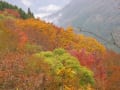 三方山の紅葉＠徳島県