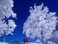 四国の雪山