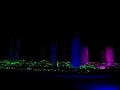 竹と光が織りなす森