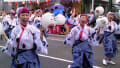 よさこい祭り2012