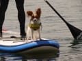 空海のサングラスショット