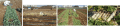 [17]01252013yt-farm.gif