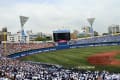 第９９回全国高校野球・神奈川県大会準決勝