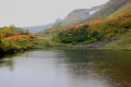 大雪山系　高原沼の紅葉２０１２