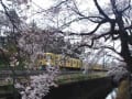 武蔵関公園と石神井公園