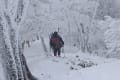 2019 厳寒期の高見山　フォトアルバム