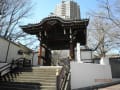 麻布山　善福寺、有栖川宮記念公園、毛利庭園、国立新美術館