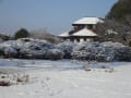 雪の偕楽園 2010