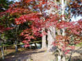 村松公園の秋