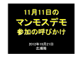 11.11マンモスデモ　100万首都占拠