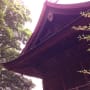 【素盞鳴神社】おりょうの万葉浴 