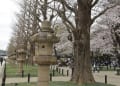 [11]東京　靖国神社