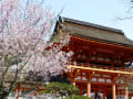 世界遺産(古都京都の文化財）　上賀茂神社