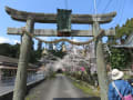 生雲八幡宮のスダジイほか