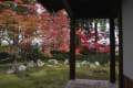 2011 圓通寺の紅葉