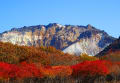 恵山・紅葉　海向山・裾附近