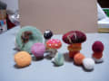 DSCN0640 DSCN0640