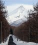 かた雪散策・駒ヶ岳登山口２０１８年３月２３日