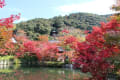 永観堂と南禅寺の紅葉　京都屈指の名所を撮って来ました　