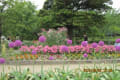 5月の植物園