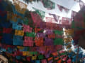 メキシコフォト(。◕ ∀ ◕。)